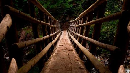 916775f312d51574d87a5c215e331c5c image 916775f312d51574d87a5c215e331c5c Vitamina C, inmunidad y sepsis. - HitLive