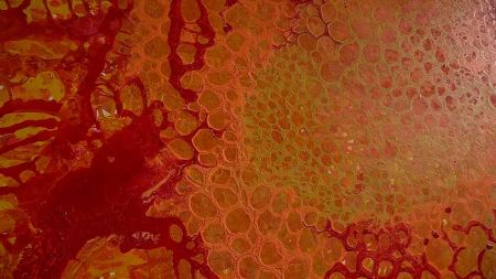 e7687220490e99852015269e425cea8c image e7687220490e99852015269e425cea8c Conozcamos a Natalia Cajiao - HitLive