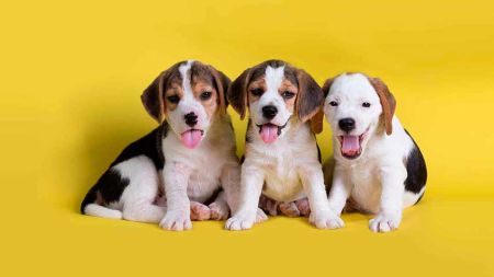 f223c8debf78ee26144d079727ceb5d0 El riesgo de la destrucci&oacute;n de la capa de Ozono. - HitLive